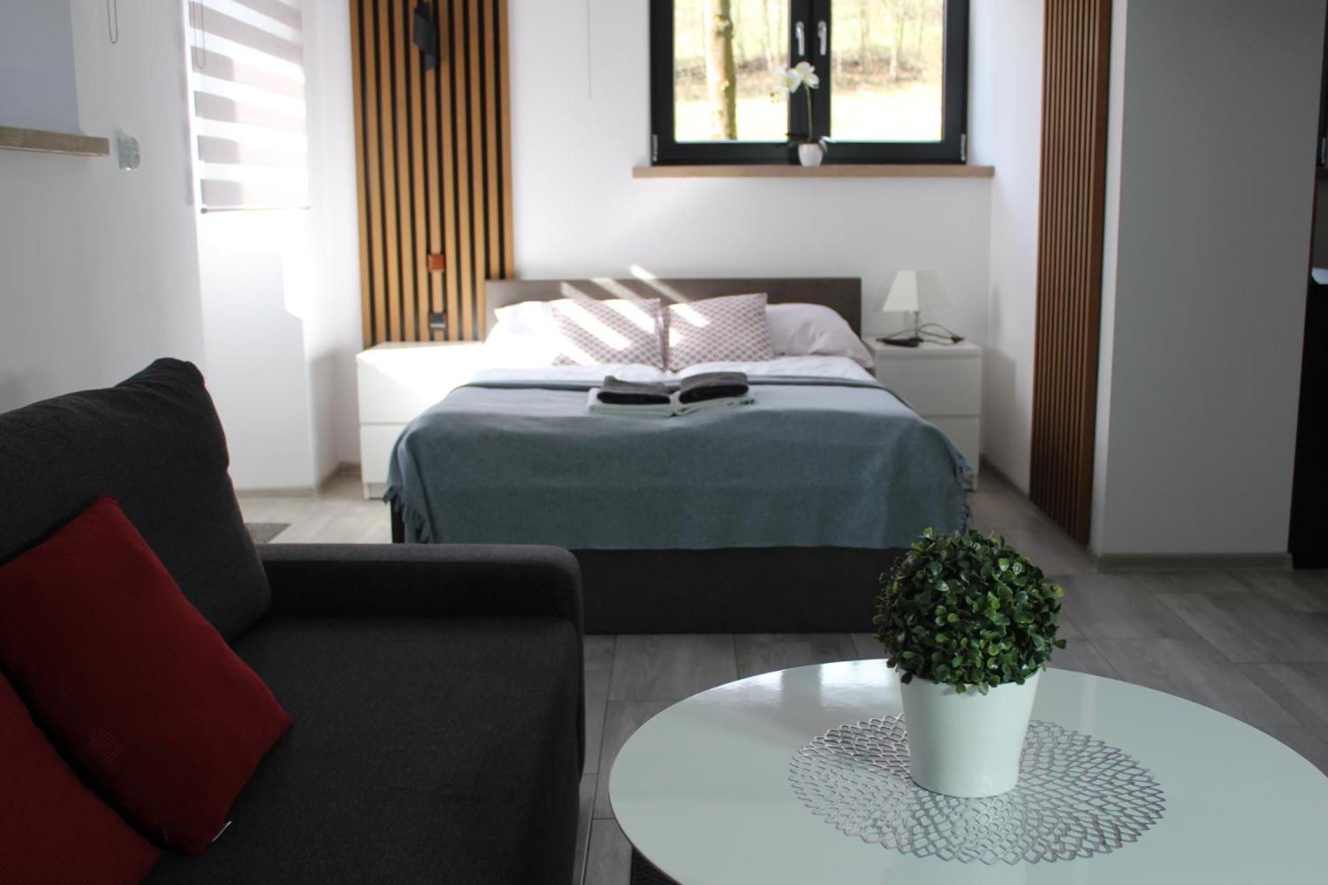 Apartamenty Swistak Maciej Dunajczan Буковина Татжанска Екстериор снимка